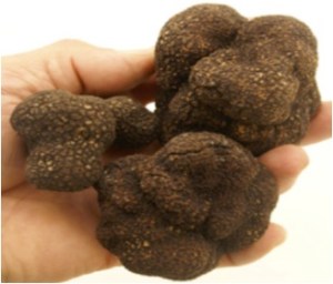 truffles