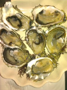 Yvonnick Jégat's oysters (carelessly shucked :()!